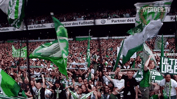 Matchday Spieltag GIF by SV Werder Bremen