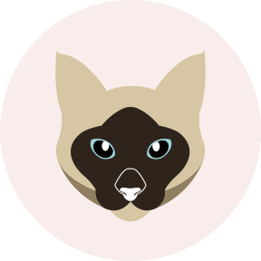 Sticker by Pistacho&Chocolate