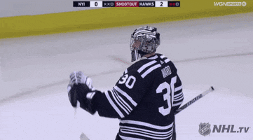ice hockey GIF by NHL