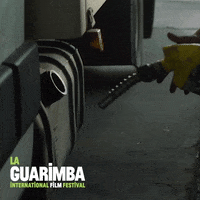 Come Here Fast And Furious GIF by La Guarimba Film Festival