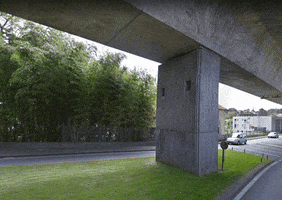 Nature GIF