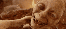 The Lord Of The Rings Ring GIF