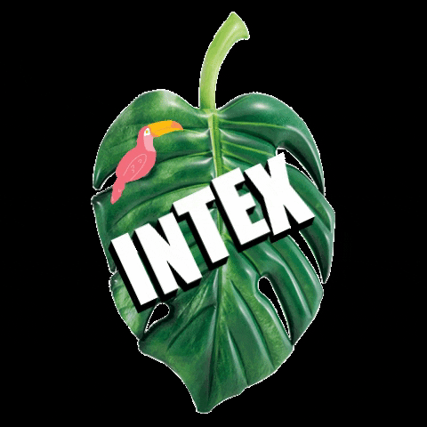 intex GIF