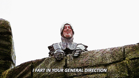 Image result for i fart in your general direction