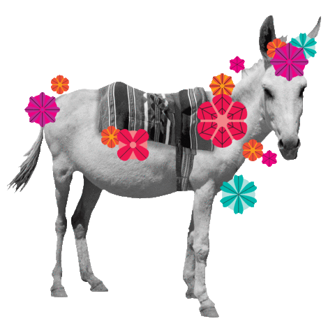 Tequila Mezcal Sticker by Ghost Donkey