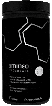 Amino GIF - Amino - Discover & Share GIFs