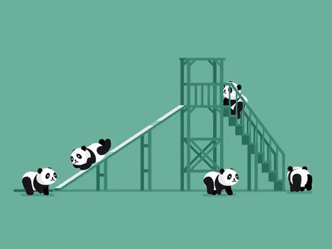 Loop Panda GIF - Find & Share on GIPHY
