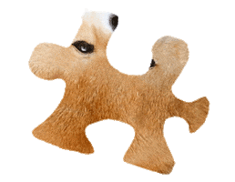 Puzzle Shiba Sticker