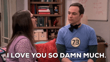 I Love You Episode 24 GIF by The Big Bang Theory