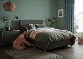 Silentnight GIF