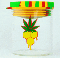 GnarJars GIF