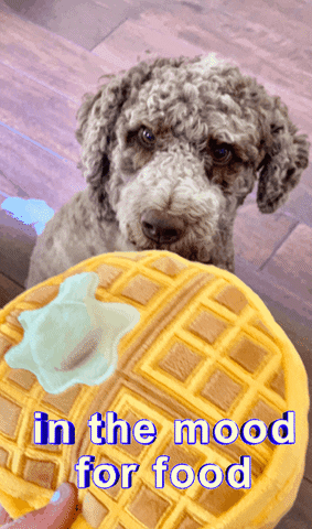 Dog GIF