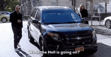What The Hell Wtf GIF by Wolf Entertainment