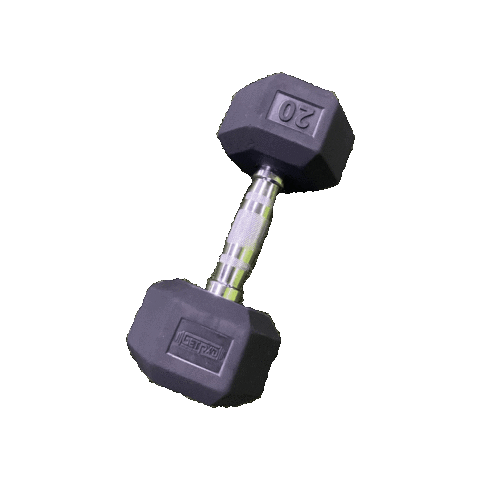 Sticker by E60 Fitness