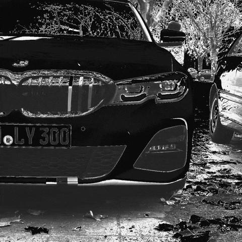 Fahrschule Felix GIF