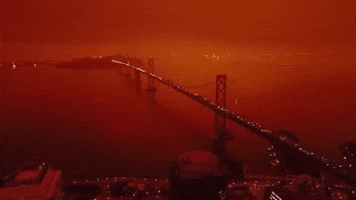 San Francisco Fires GIF by GIPHY News