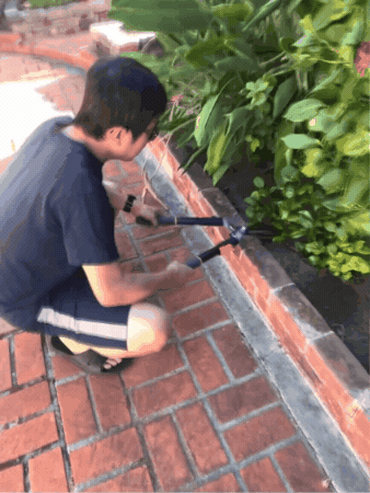 Jwu GIF