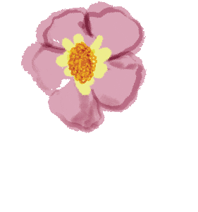 Flowermarket Sticker by Obus