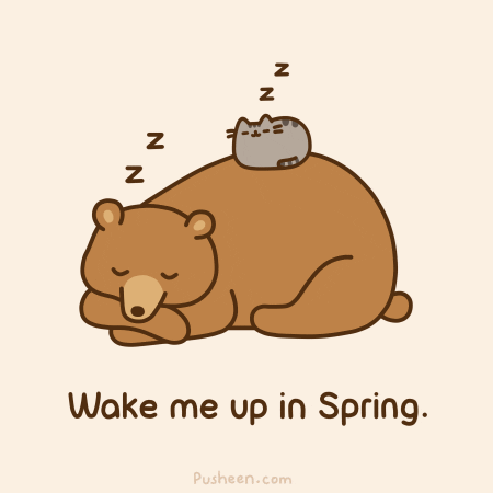 Digital art gif. Pusheen loafs atop of a snoozing brown bear, both of them snoozing. Text, "Wake me up in Spring."