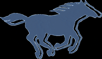 MUSTANG Jeans GIF