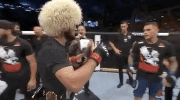 Khabib Nurmagomedov Hug GIF by UFC