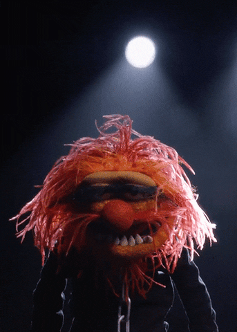 Drummer Muppets GIF by Muppet Wiki - Find & Share on GIPHY