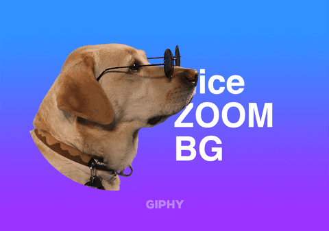 Zoom Psa GIF by GIPHY Cares - Find & Share on GIPHY