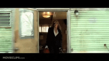 Fly GIF