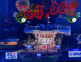 White House Gop Convention Fireworks Finale GIF