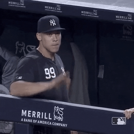 Supporting Major League Baseball GIF by New York Yankees