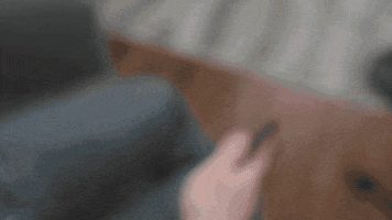 Boss GIF