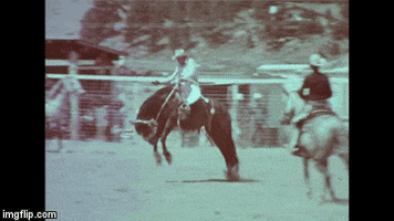 Estes Park Rodeo GIF by History Colorado