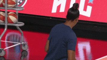 No Way Lol GIF by Indiana Fever