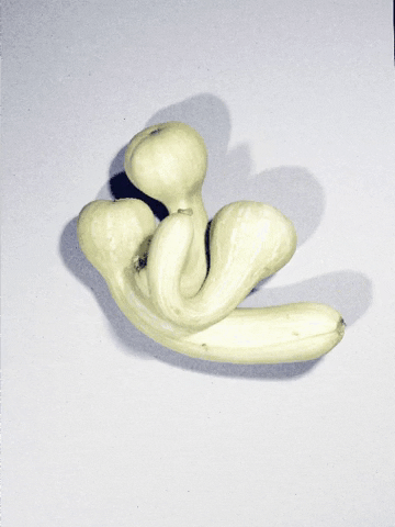 Libe Tumitonnes Courgettes GIF by Liberation.fr
