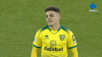 200.gif?cid=fc005b08d08fd02c7c71bcd33c2ffc889b083ab2edab04e4&rid=200.gif&ct=g