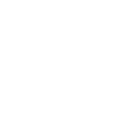 Party Sticker
