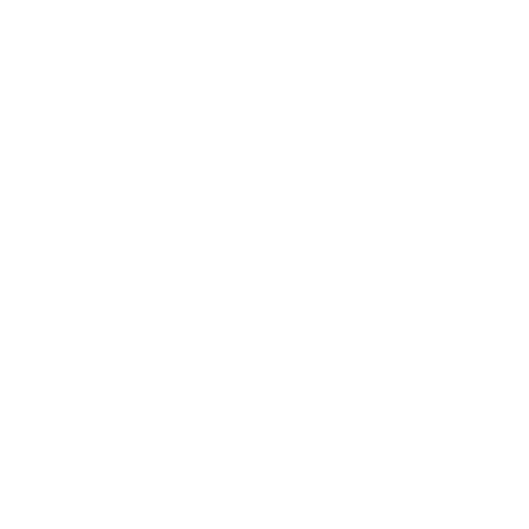 Anta Koifish Sticker by antasportsofficial