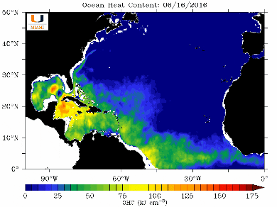 giphy.gif?cid=6c09b952bjkqqqgs37wzqom7pn