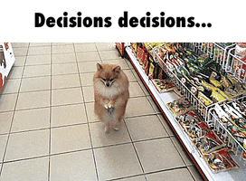 marketing analytics tools - Which One Decisions GIF