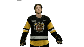Brantford Bulldogs Sticker