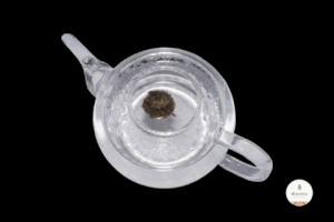 diegovidal-cruzprieto  GIF