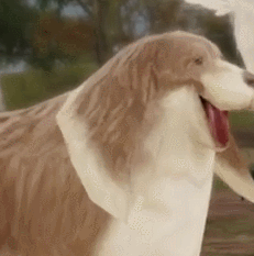 final fantasy lightning returns