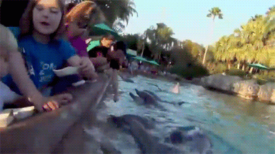 bites GIF
