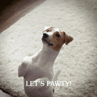 Dog Food Party GIF by Taste of the Wild