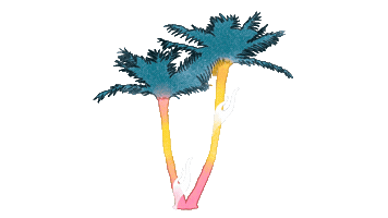 Sticker by Palmera-presenta