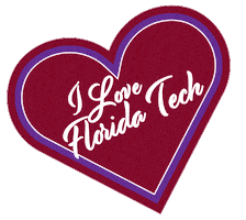 Graduation Commencement Sticker by Florida Tech