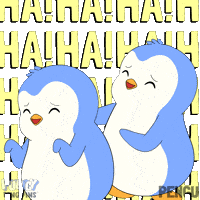 Cracking Up Lol GIF by Pudgy Penguins