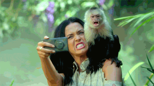 melhores apps para stories do instagram