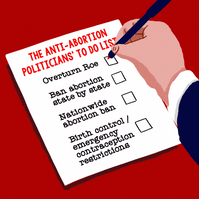 The Anti-Abortion Politicians' To-Do List