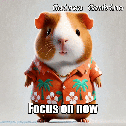GIF by Guinea Gambino
